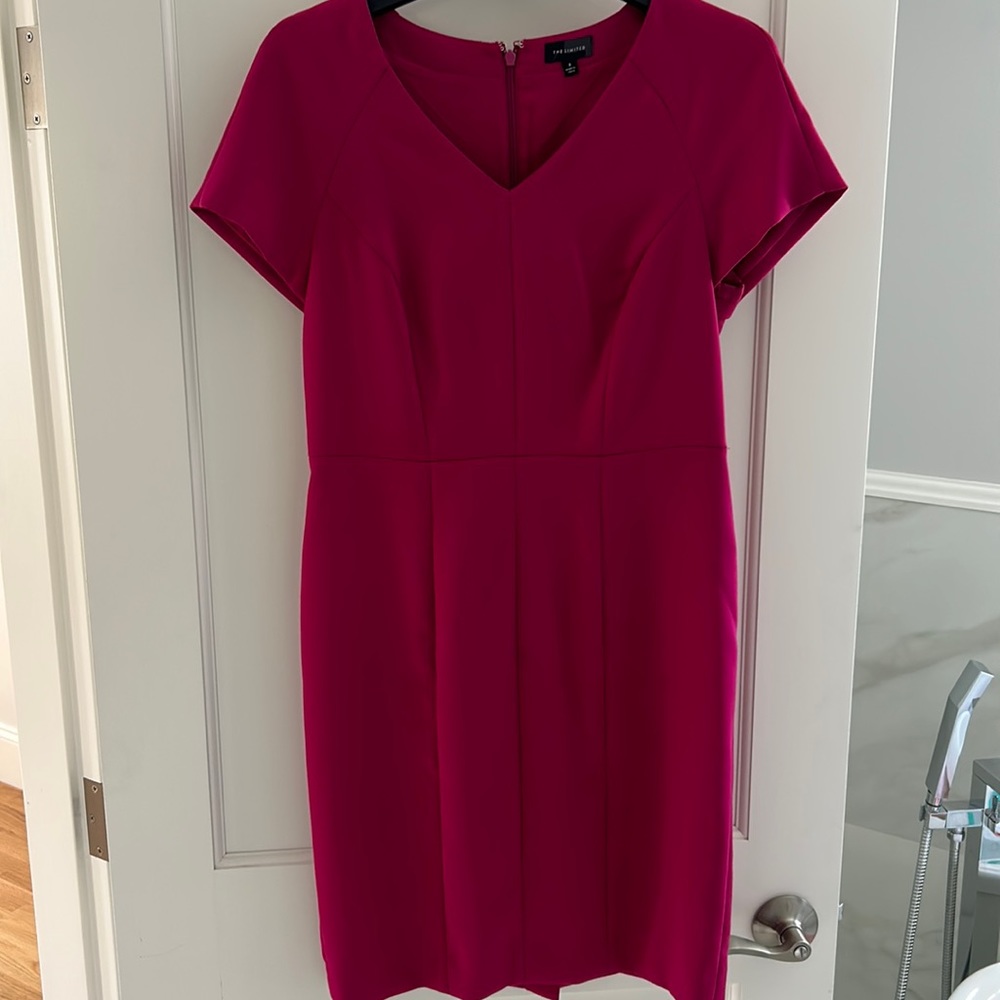 Pink Business Dress | Size 8 | The Limited